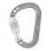 Petzl Rocha snap hook