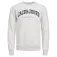Jack & jones Caleb Varsity sweatshirt