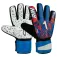 Rinat Egotiko graviti goalkeeper gloves
