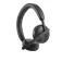 Dell Auriculars WL3024