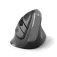 Ewent Mouse ergonomico EW3229