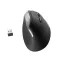 Ewent EW3229 ergonomic mouse