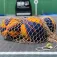 Ecoballution Econet ballpose