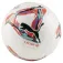 Puma Orbita LaLiga 1 MS Mini jalkapallo