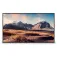 Maxhub Pantalla ND65CMA 65´´