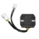 Tecnium 2484 regulator/rectifier