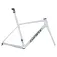 Giant Quadre de carretera TCR Advanced SL-FF 2024