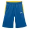 Nike Team Stock shorts