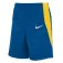 Nike Team Stock shorts