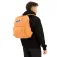 Vans Old Skool Classic 22L backpack