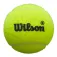 Wilson Bolas de padel Premier