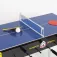 Cb games 5-in-1 multigames