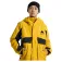 Burton Giacca Ascutney 2L