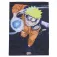 Hydroponic Scaldacollo Naruto