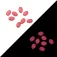 Vercelli Perles Soft Oval 25 unitats