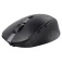 Trust Mouse wireless 24819