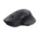 Trust Mouse wireless 24820