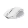 Trust Mouse wireless 24933