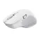 Trust Mouse wireless 24935
