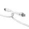 Targus Cable USB-C 2 m Silicone 240W