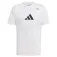 adidas Category graphic 반팔 티셔츠