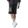Everlast Pantalons curts Washed