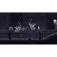 Nintendo Switch Blasphemous 2 Limited Collectors Edition