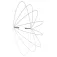 adidas Corda de saltar Essential skipping
