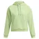 Under armour Moletom com capuz Fleece Pro