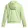 Under armour Fleece Pro kapuzenpullover