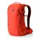 Gregory Verte 24L backpack