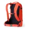 Gregory Verte 24L backpack