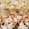 Cecotec Fun&Taste P´Corn Easy Popcornmachine