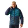 Regatta Dalent jacket