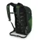 Osprey Daylite Plus 20L backpack
