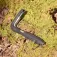 Daysaver Essential Line MultiTool Protector