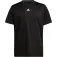 adidas Train Essentials Logo Regular Fit short sleeve T-shirt