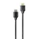 Philips Cable HDMI SWV5531 3 m