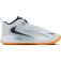 Nike Zoom Hyperset 2 SE indoor court shoes