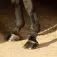 Harry´s horse Stivali per tendini Basic