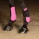 Harry´s horse Tendoneres Basic