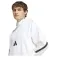 adidas New Z.N.E hoodie