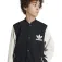 adidas Originals Adicolor jacket