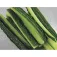 Ibili Mandoline Easycook V