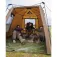 Fox international Refugio EOS social