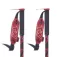 Line Wallischtick spaserstokker