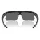 Oakley Bisphaera polarized sunglasses