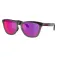 Oakley Frogskins range solbriller