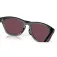 Oakley Frogskins range solbriller