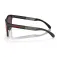Oakley Frogskins range solbriller
